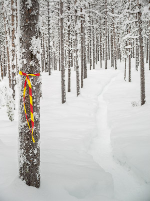 Trail Marker Tape - Ice Raven - Sub Zero Adventure - Copyright Gary Waidson, All rights reserved.